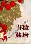 山楂栽培