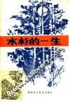 水杉的一生