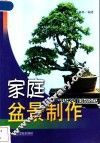 家庭盆景制作