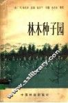 林木种子园