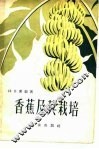 香蕉及其栽培