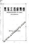 黑龙江省的野兽