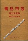 青岛市志  电力工业志