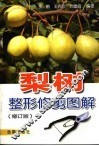 梨树整形修剪图解  修订版