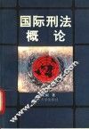 国际刑法概论