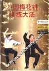 中国梅花桩训练大法