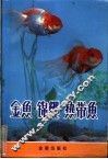 金鲤  锦鲤  热带鲤