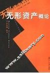 无形资产概论