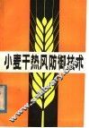 小麦干热风防御技术