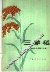 三季稻