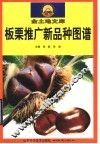 板栗推广新品种图谱