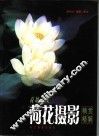荷塘清风  荷花摄影精赏精解