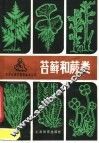 苔藓和蕨类