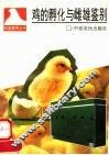 鸡的孵化与雌雄鉴别