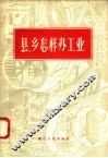 县  乡怎样办工业