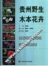 贵州野生木本花卉