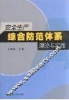 安全生产综合防范体系理论与实践