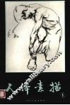 人体素描  第1集