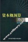 资本概预算原理