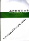 上海能源白皮书