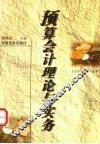 预算会计理论与实务