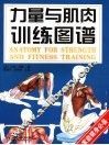 力量与肌肉训练图解