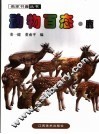 动物百态  鹿