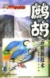 鹧鸪养殖新技术