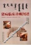 猪病临床诊断图谱