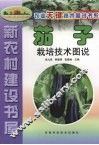 茄子栽培技术图说