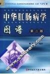 中华肛肠病学图谱  第二版