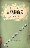 大豆根瘤菌