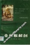 金丝猴解剖