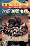 对虾·海蟹·海螺