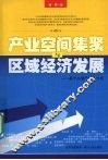 产业空间集聚与区域经济发展  基于白酒产业的分析