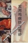 实用鸡病防治图册