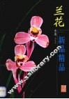 兰花新品精品