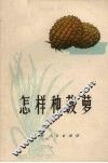 怎样种菠萝