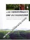 云南主要热带作物病虫害诊断与综合防治原色图谱