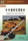 牛羊饲养实用技术