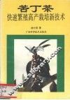 苦丁茶快速繁殖高产栽培新技术