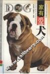 家有爱犬