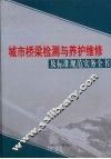 城市桥梁检测与养护维修及标准规范实务全书  第2卷