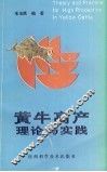 黄牛高产理论与实践