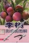 李树整形修剪图解