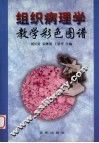 组织病理学教学彩色图谱