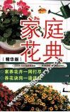 家庭花典  精华版