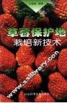 草莓保护地栽培新技术