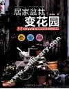 居家盆栽变花园