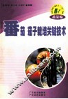 番茄  茄子栽培关键技术